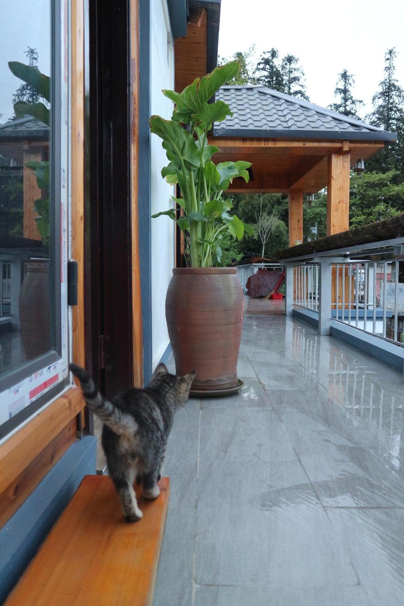 May Nui Homestay Sapa Eksteriør billede