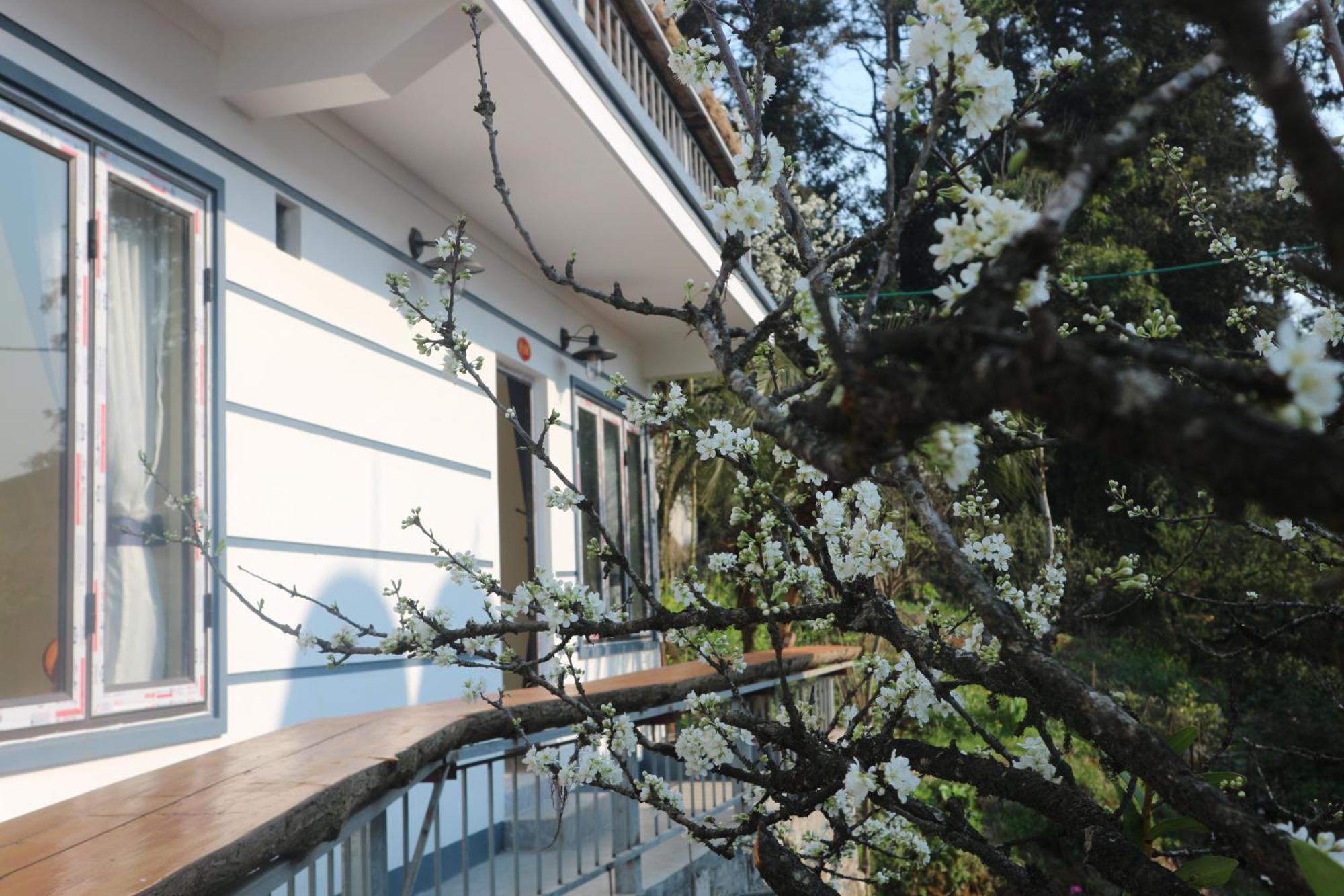 May Nui Homestay Sapa Eksteriør billede