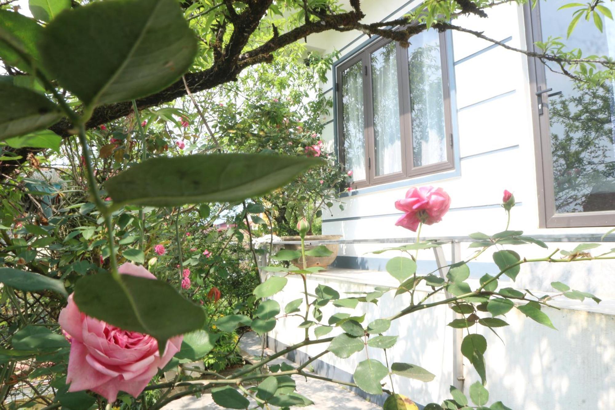 May Nui Homestay Sapa Eksteriør billede